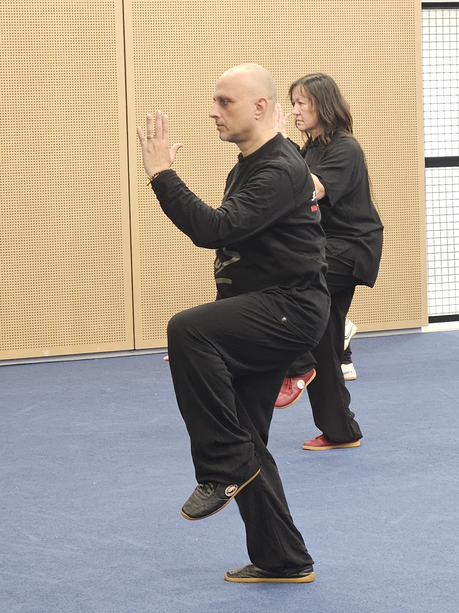 Stage avec Marcello Sidoti 2023 organisé par Nathalie Darjinoff Taiji Quan style Chen